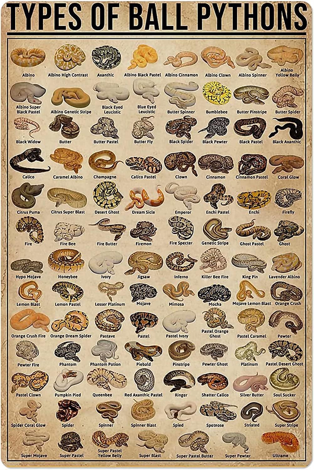 Brass Weight Plate - Retro Metal Tin Sign Types of