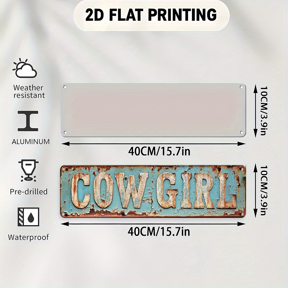 2D Metal Cowgirl Wall Art - Vi - Brass Weight Plate 评论和价格